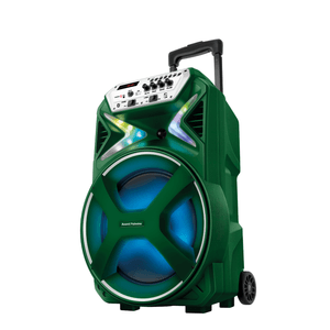 Caixa Amplificada Palmeiras CMPA-01